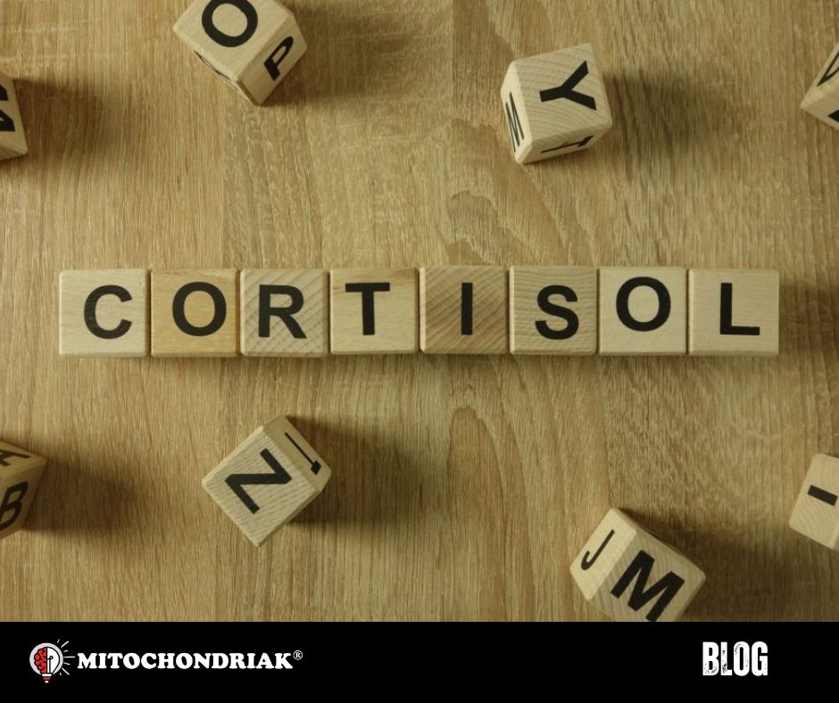 Kortizol a ranné svetlo: prvých 30 minút po prebudení nastavuje cirkadiánny rytmus na celý deň